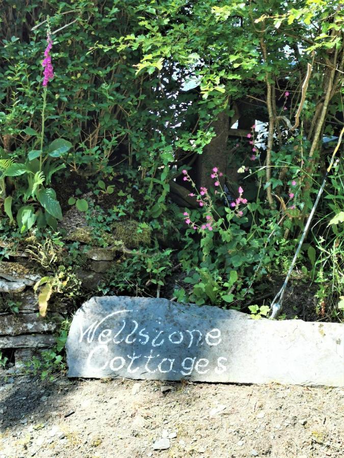 Wellstone Cottages - Honey Coach House Llanfyrnach Exterior foto